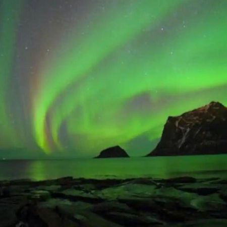Northern Light Cabin Lofoten Sennesvik Ngoại thất bức ảnh