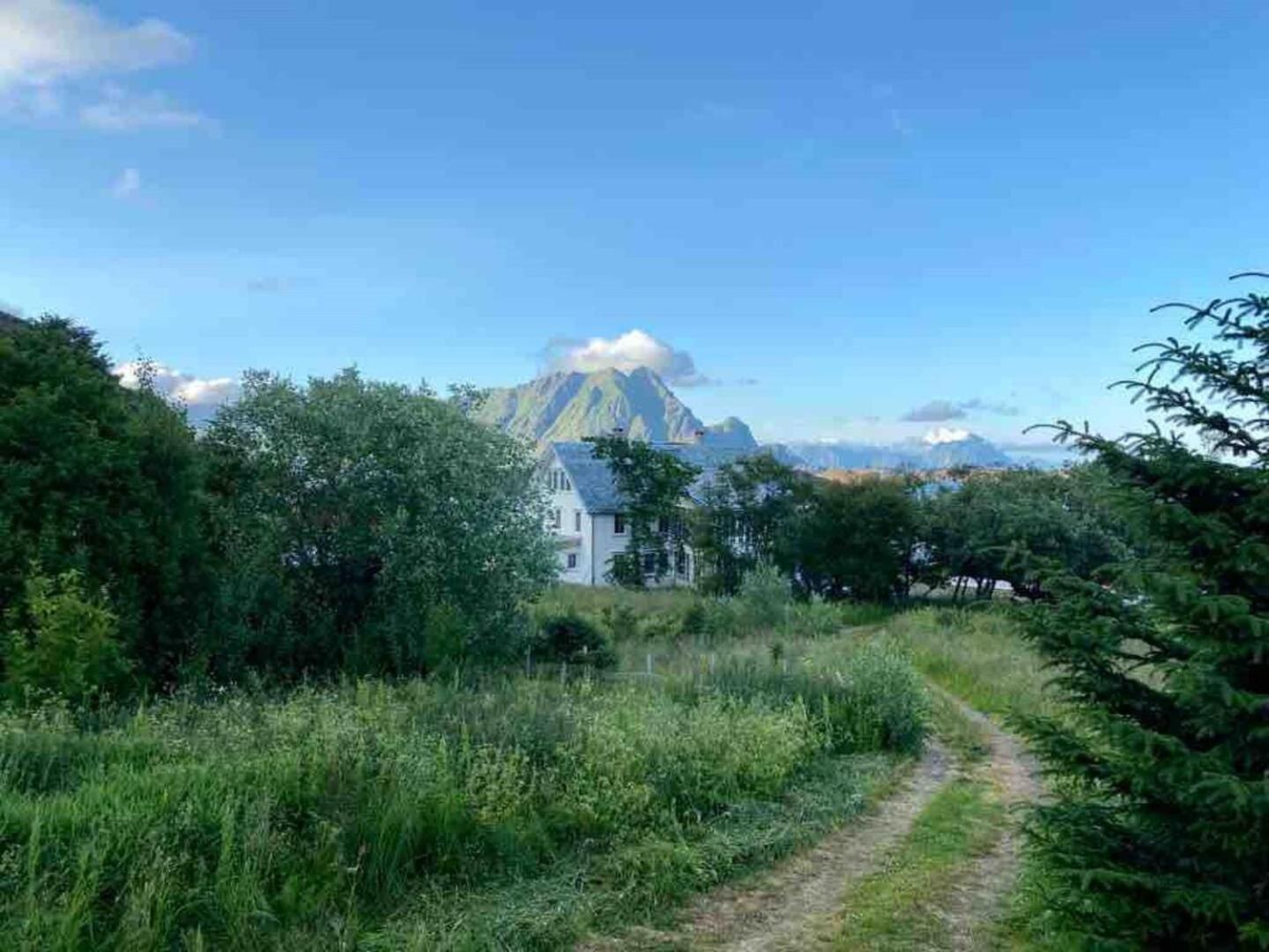 Northern Light Cabin Lofoten Sennesvik Ngoại thất bức ảnh